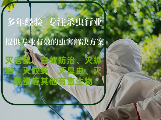 ��˾����